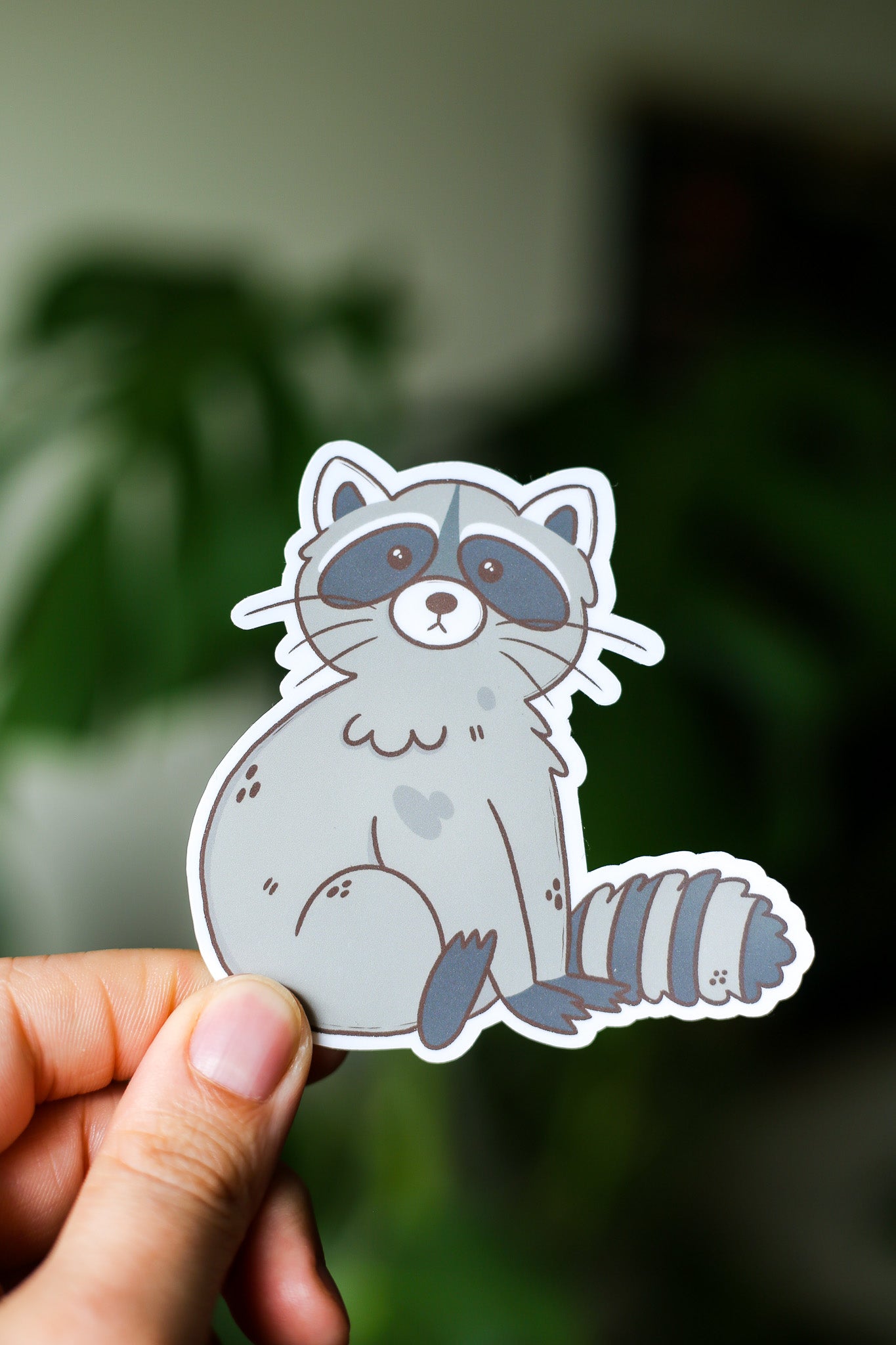 Raccoon Sticker